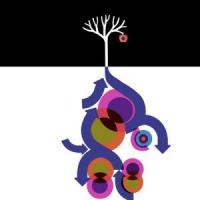 psicologo, psicoterapeuta Roma